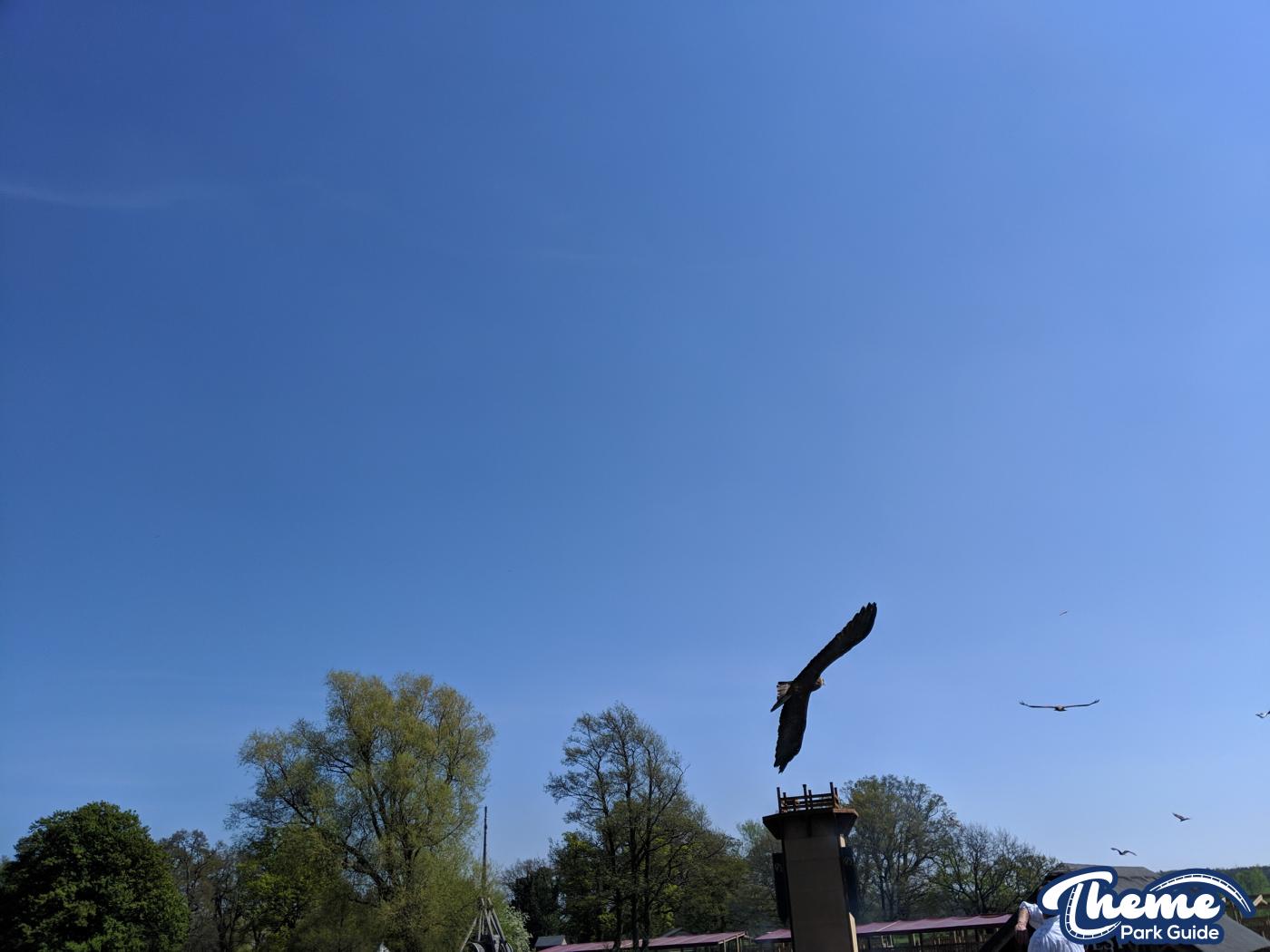 - The Falconer's Quest at Warwick Castle