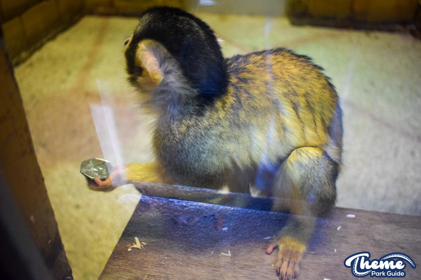 Keep The Change You Monkey!