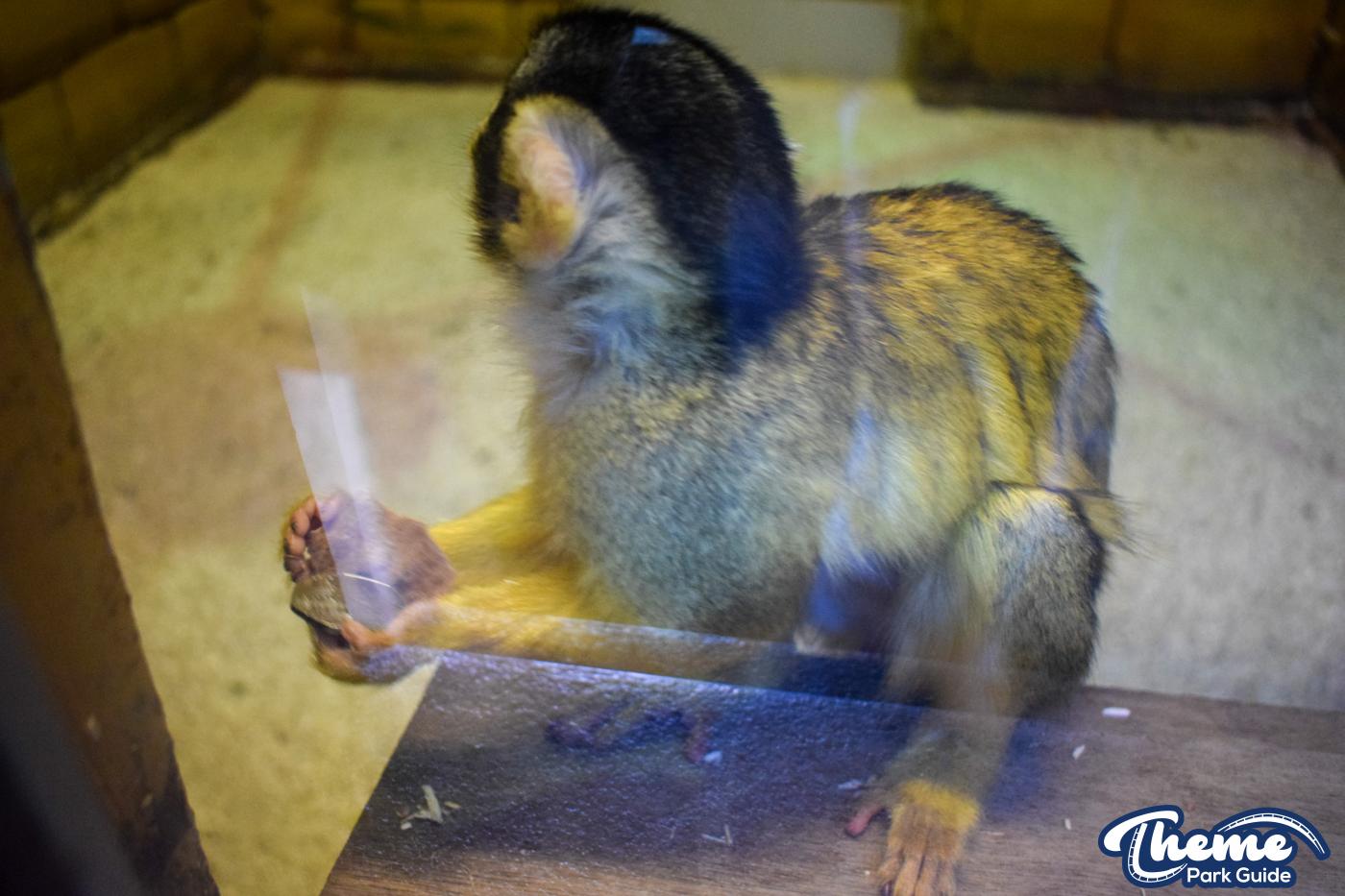Keep The Change You Monkey!