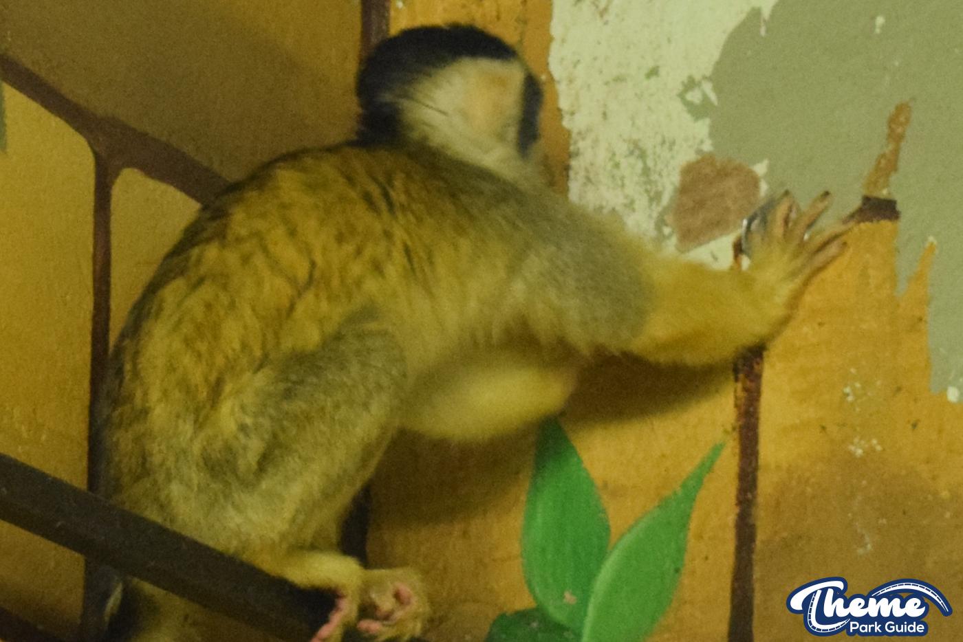 Keep The Change You Monkey!