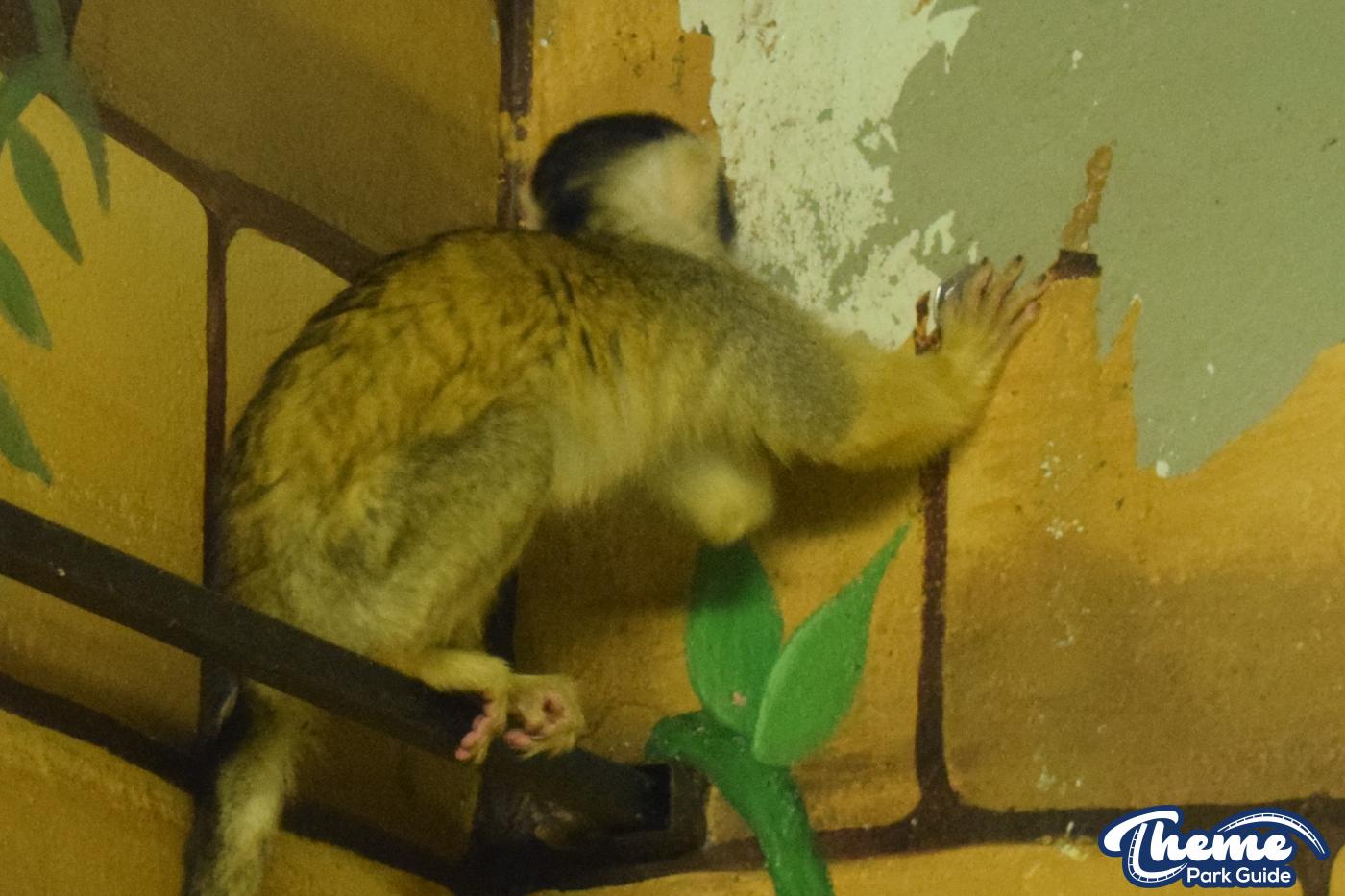 Keep The Change You Monkey!