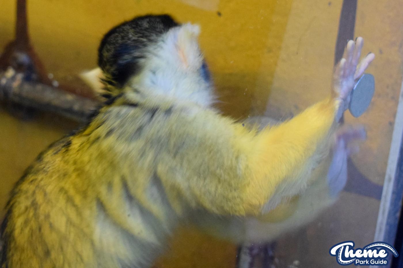 Keep The Change You Monkey!
