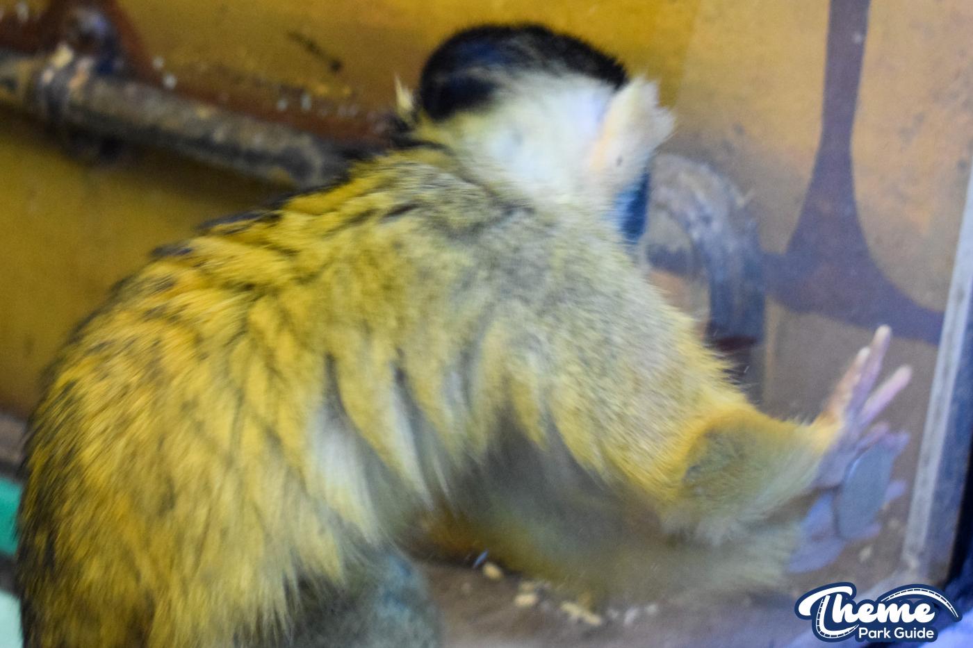Keep The Change You Monkey!