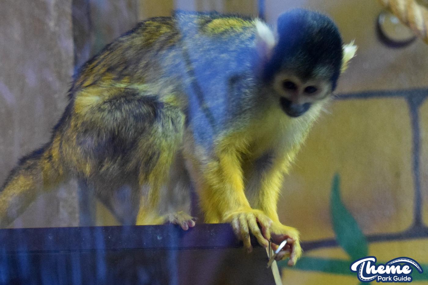 Keep The Change You Monkey!