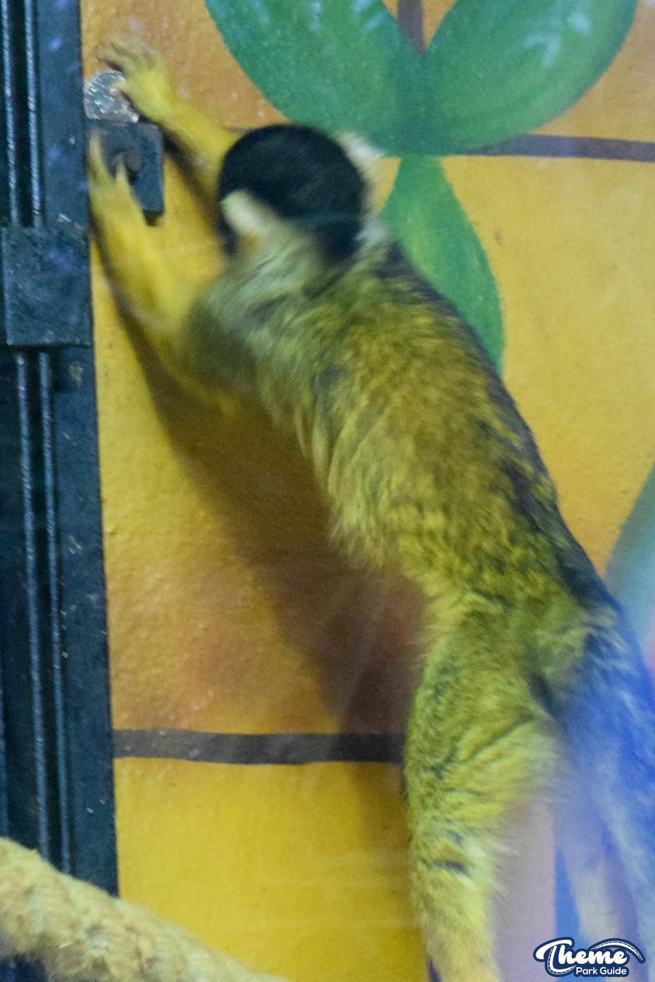 Keep The Change You Monkey!