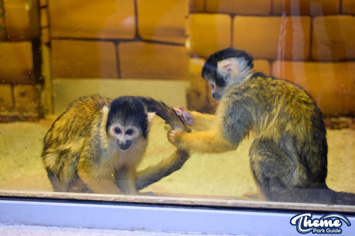 Keep The Change You Monkey!