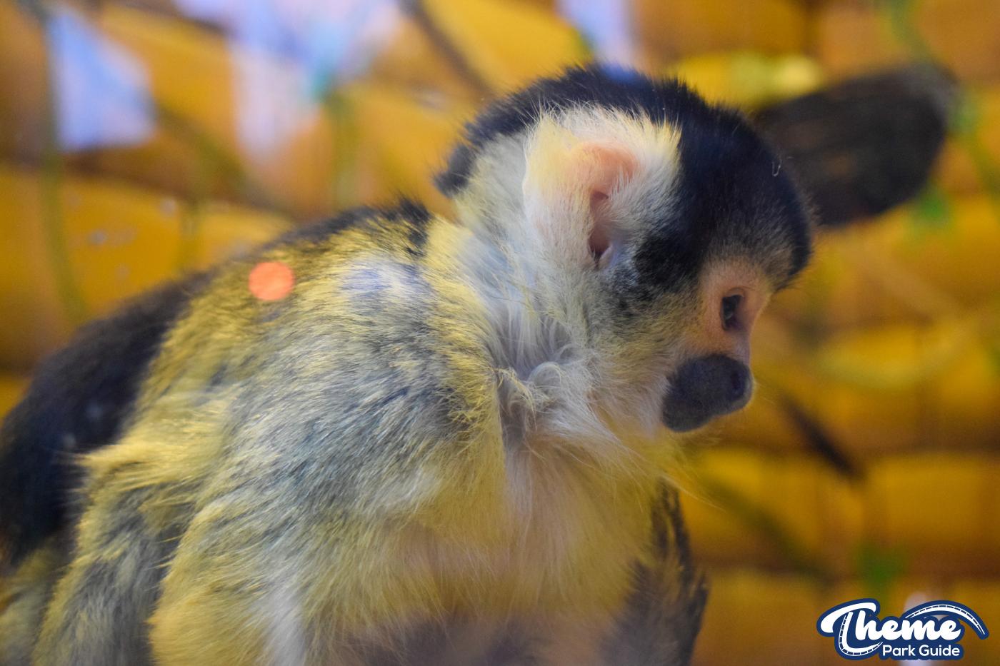Keep The Change You Monkey!