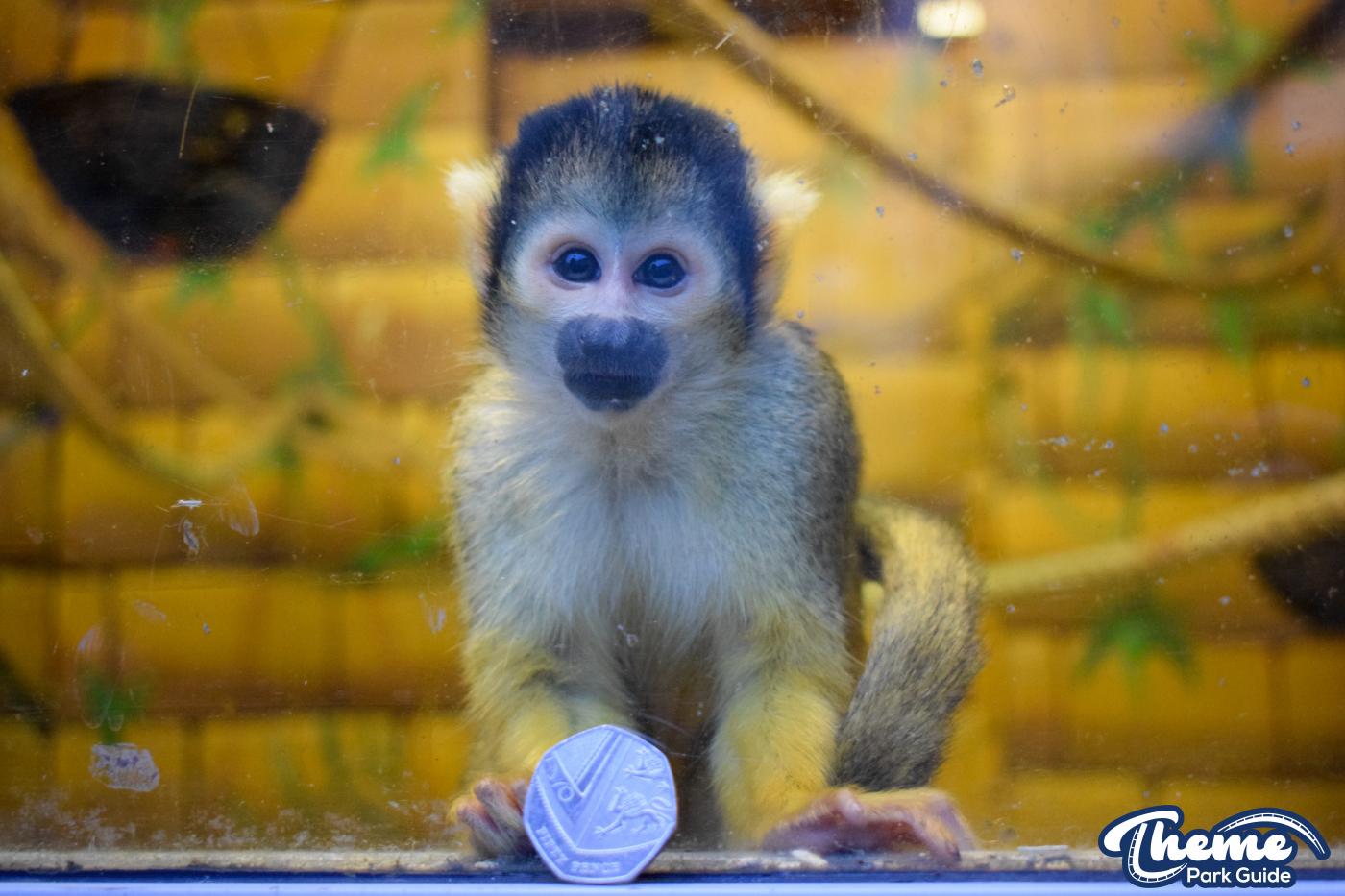 Keep The Change You Monkey!