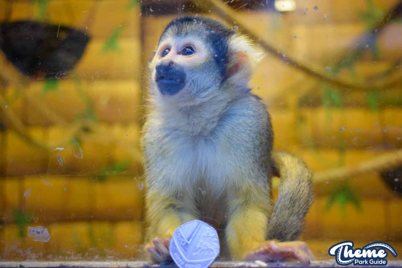 Keep The Change You Monkey!