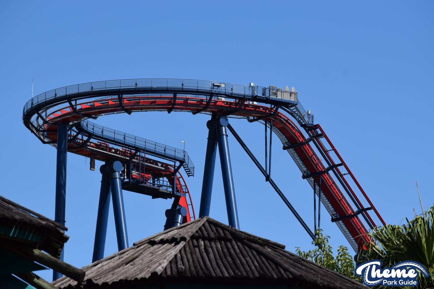 Sheikra -  Busch Gardens Tampa