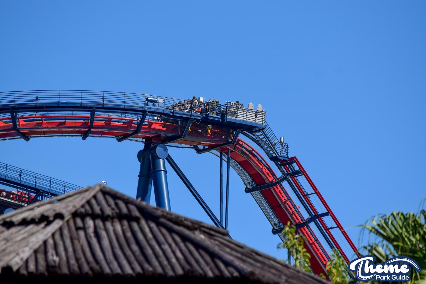 <p>Busch Gardens Tampa</p>