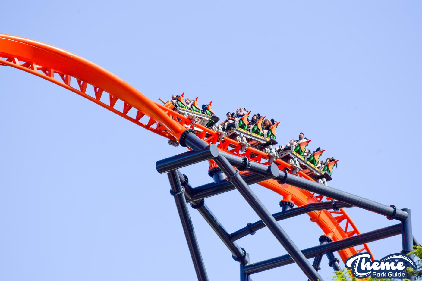 Tigris -  Busch Gardens Tampa