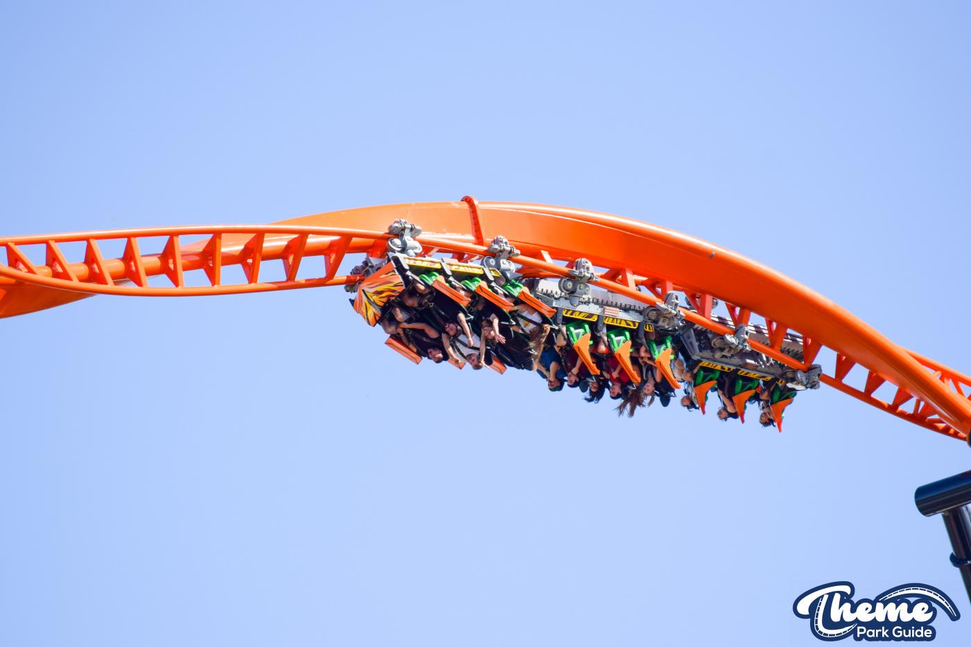 Tigris -  Busch Gardens Tampa
