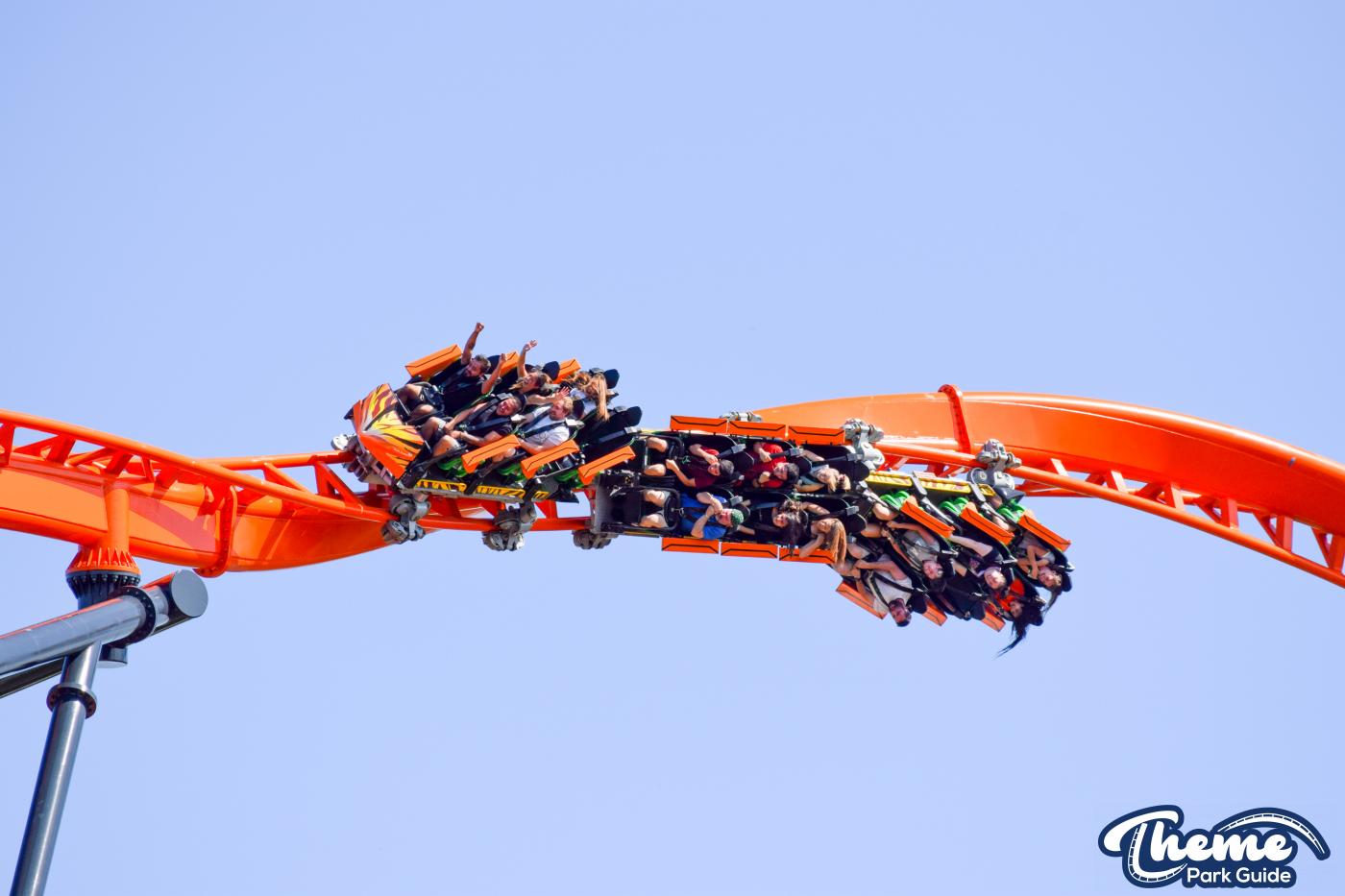 Tigris -  Busch Gardens Tampa