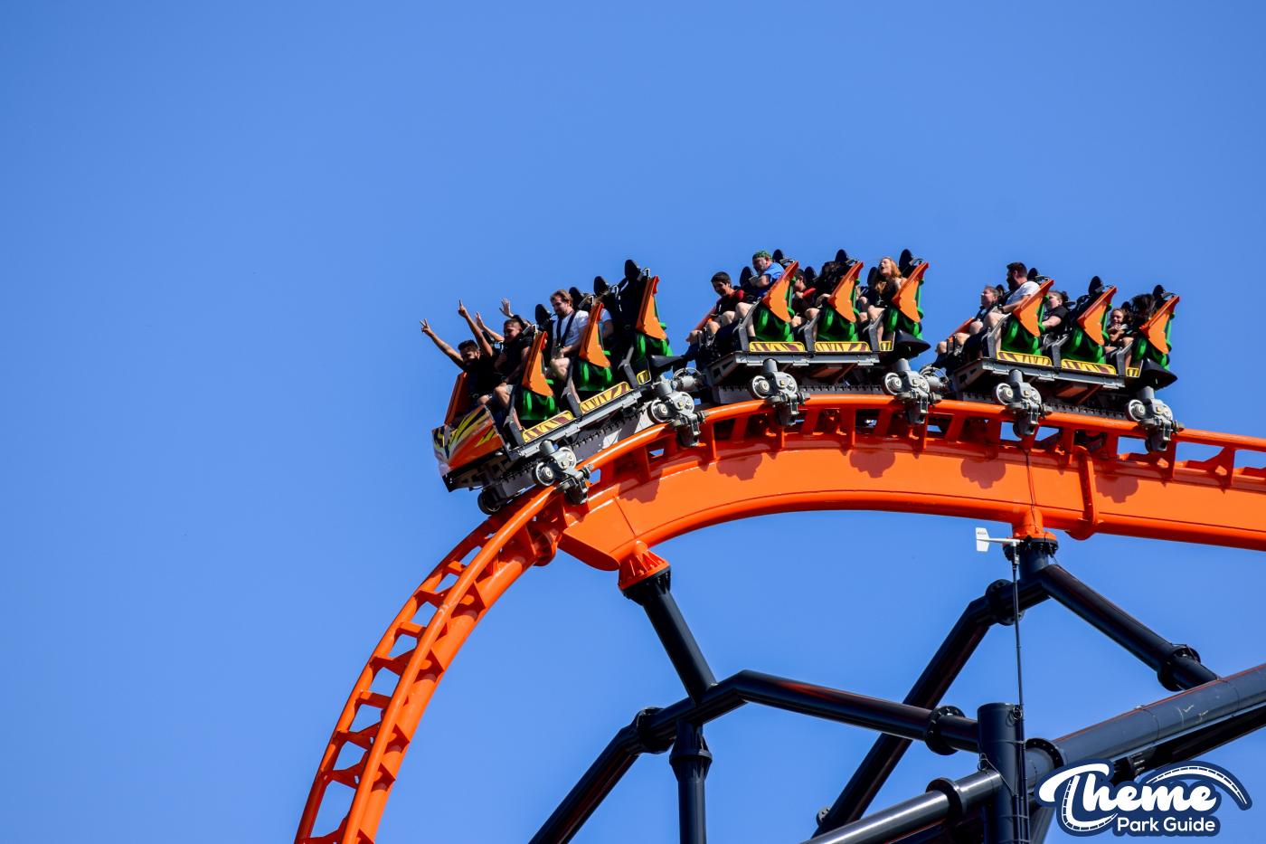 Tigris -  Busch Gardens Tampa