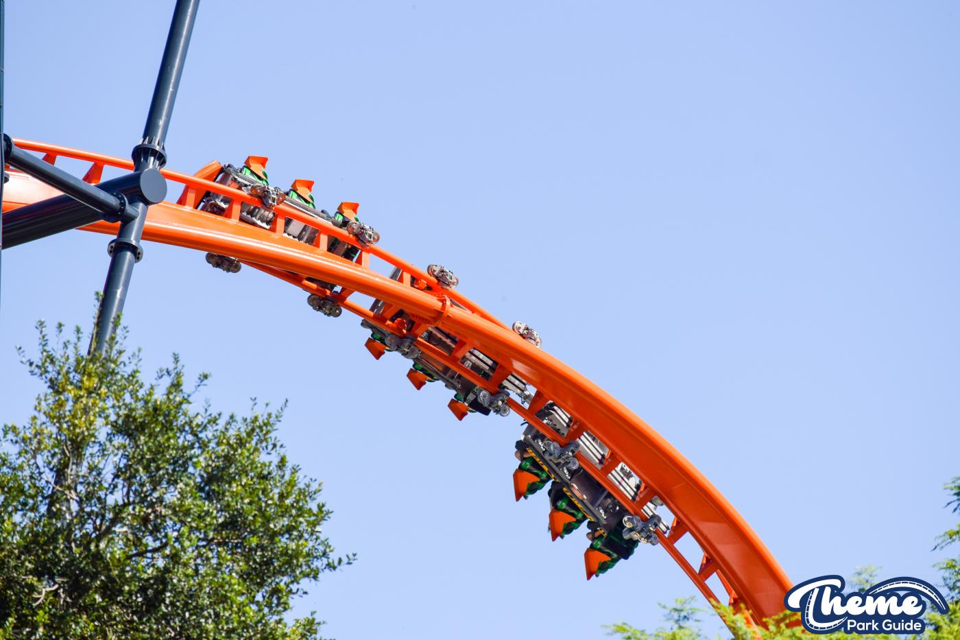 Tigris -  Busch Gardens Tampa