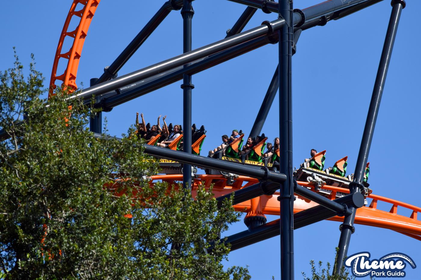 Tigris -  Busch Gardens Tampa