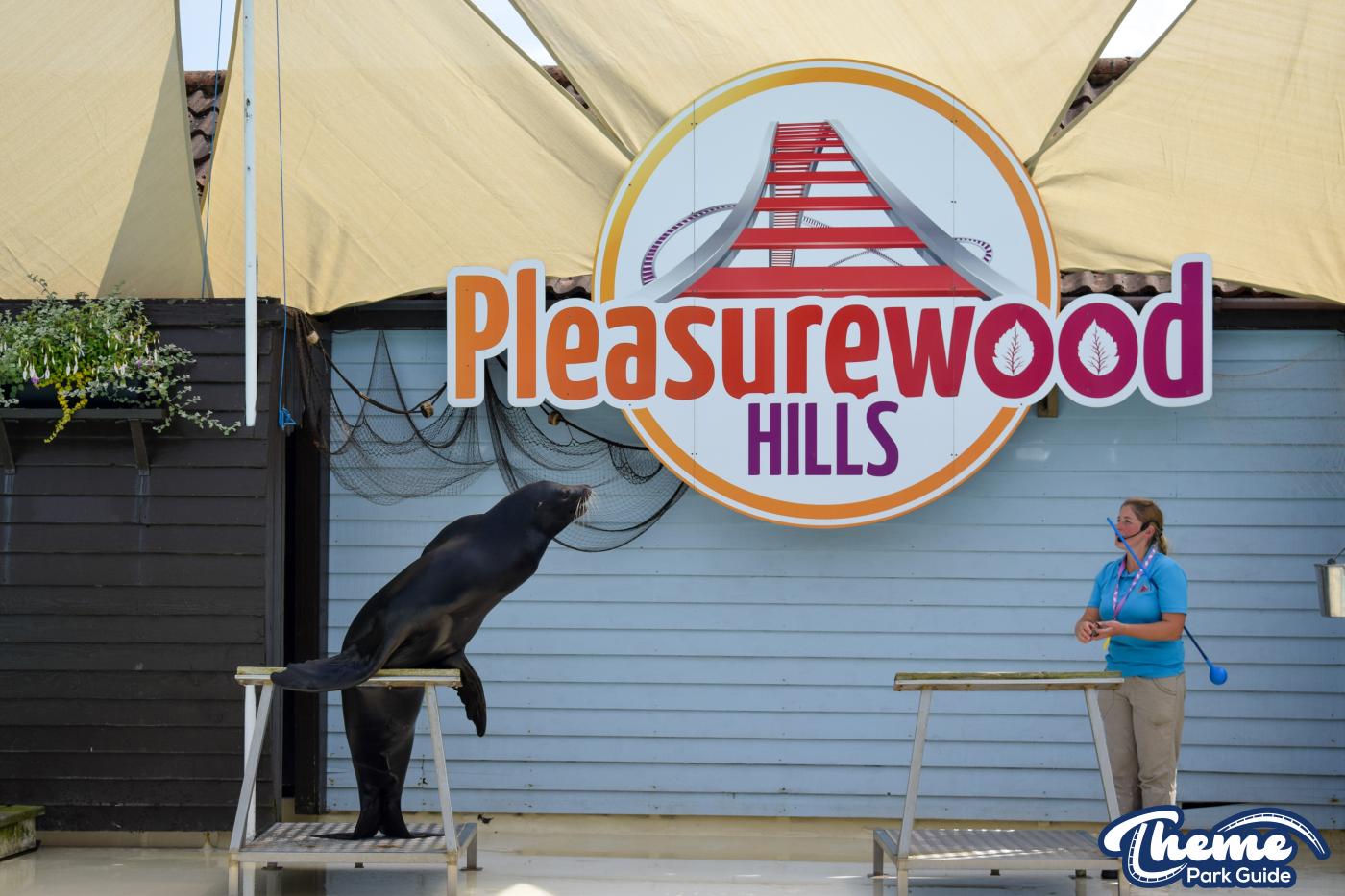 Sea Lion Show -  Pleasurewood Hills