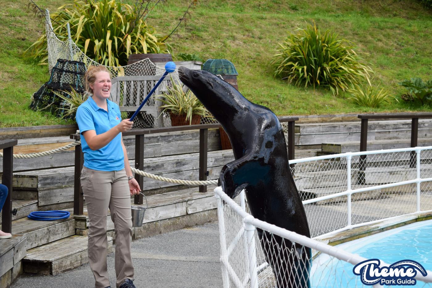 Sea Lion Show -  Pleasurewood Hills