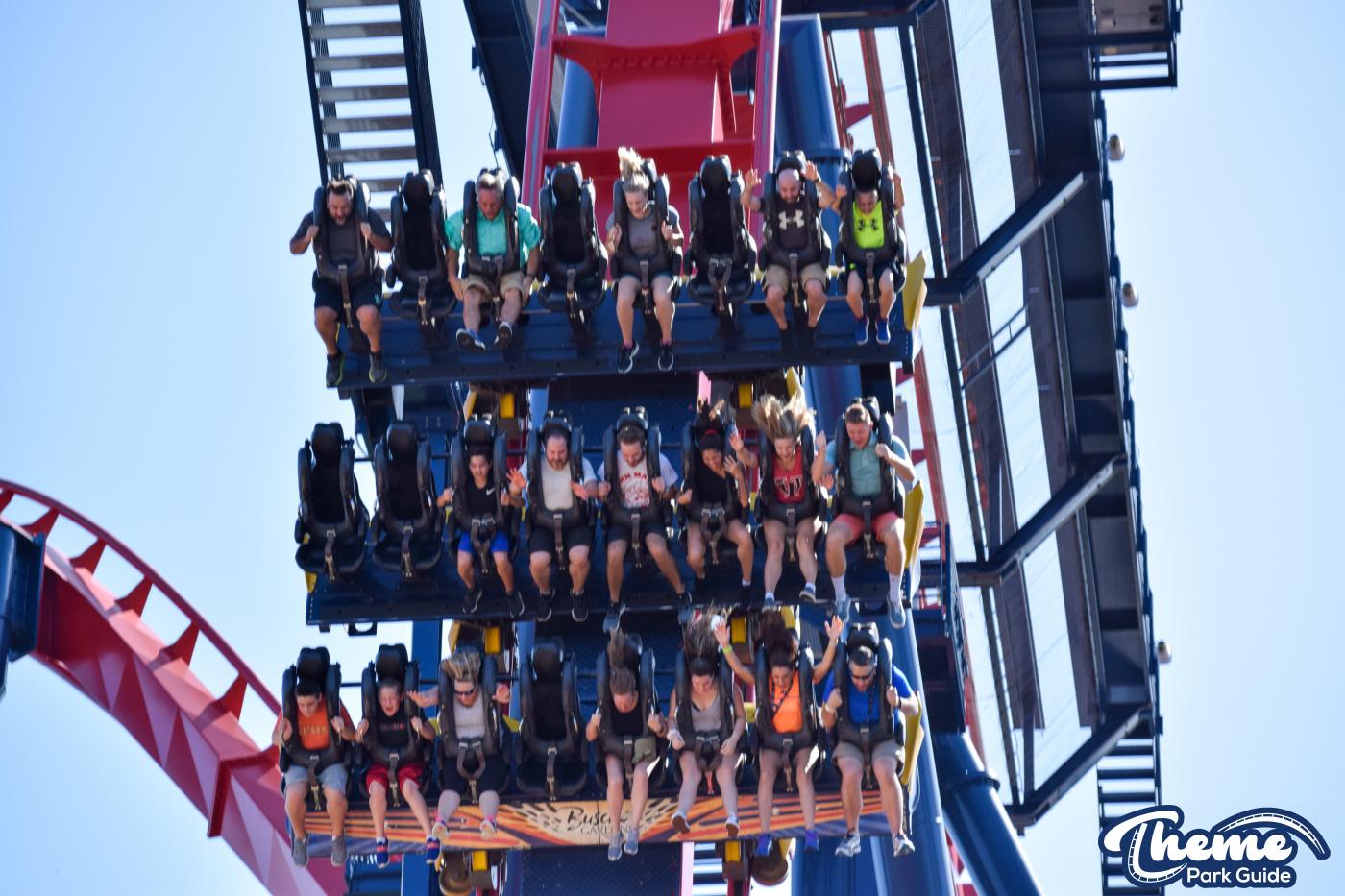 Sheikra -  Busch Gardens Tampa