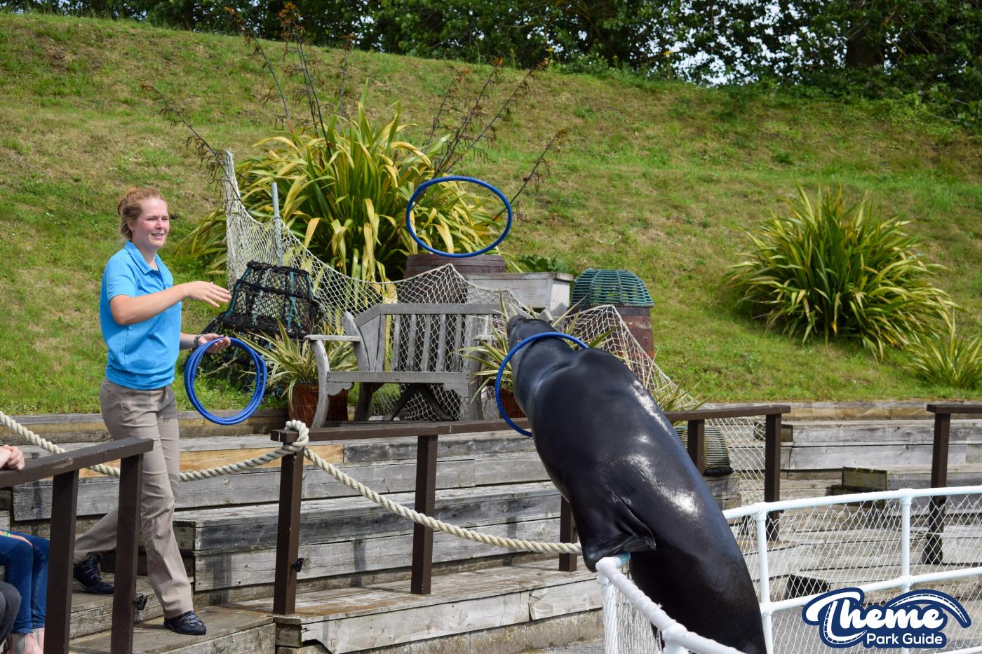 Sea Lion Show -  Pleasurewood Hills