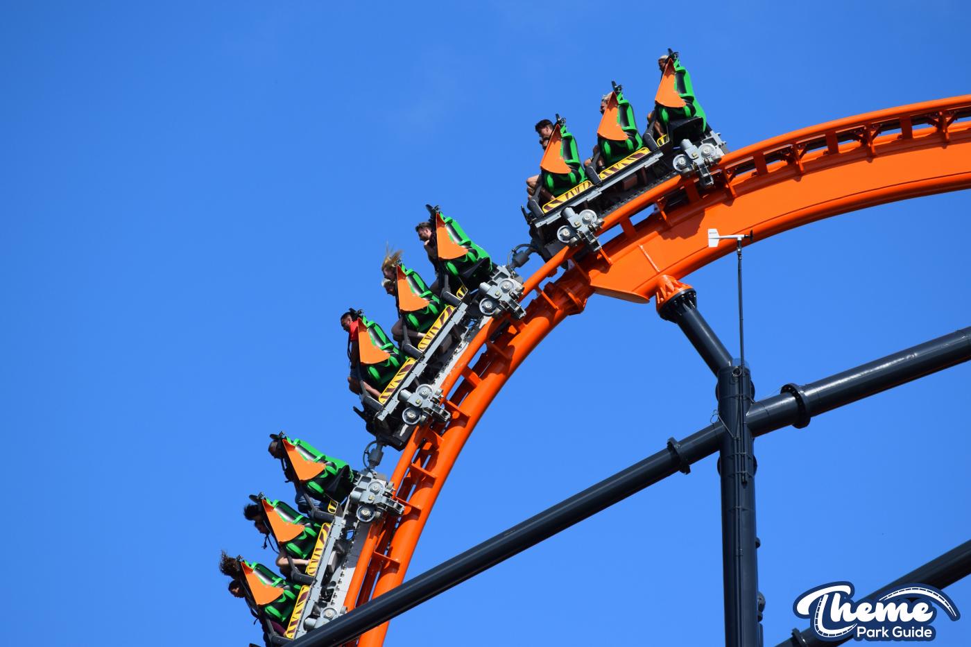 Tigris -  Busch Gardens Tampa