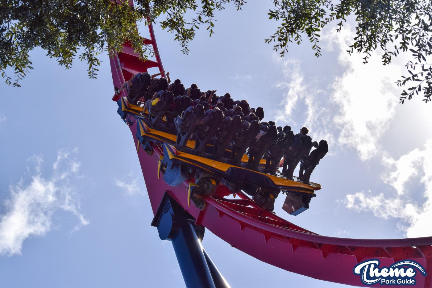 Sheikra -  Busch Gardens Tampa