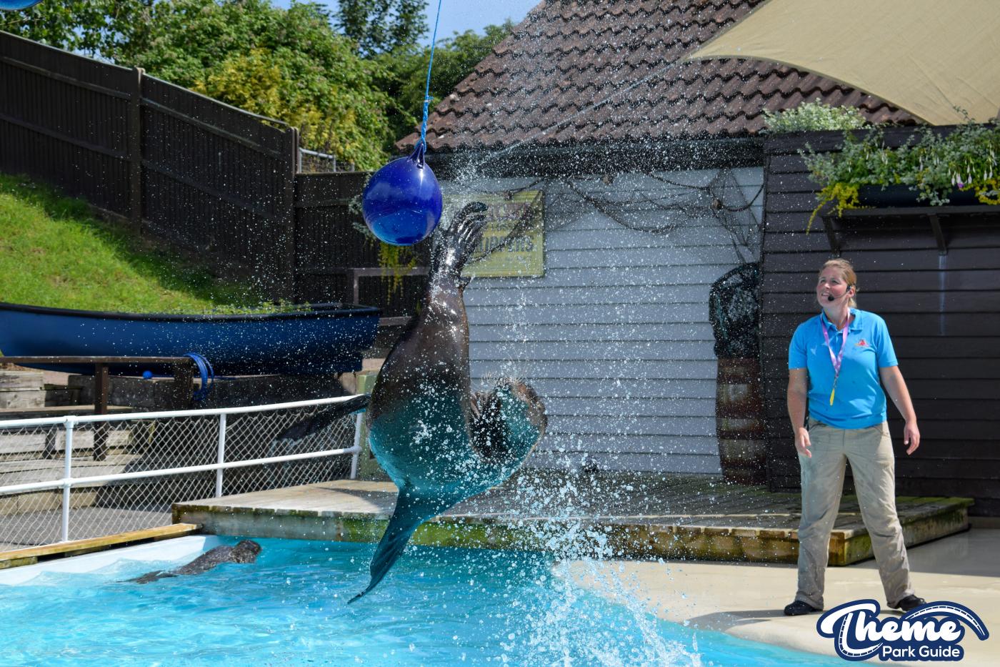 Sea Lion Show -  Pleasurewood Hills