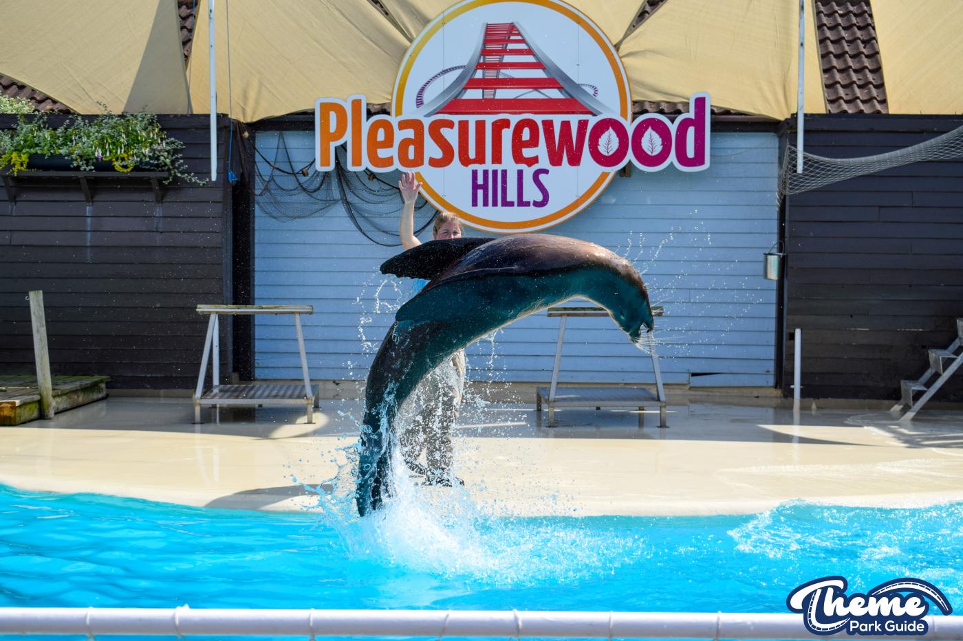 Sea Lion Show -  Pleasurewood Hills