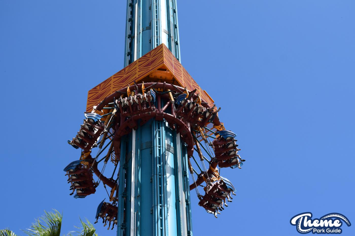 Falcon’s Fury -  Busch Gardens Tampa