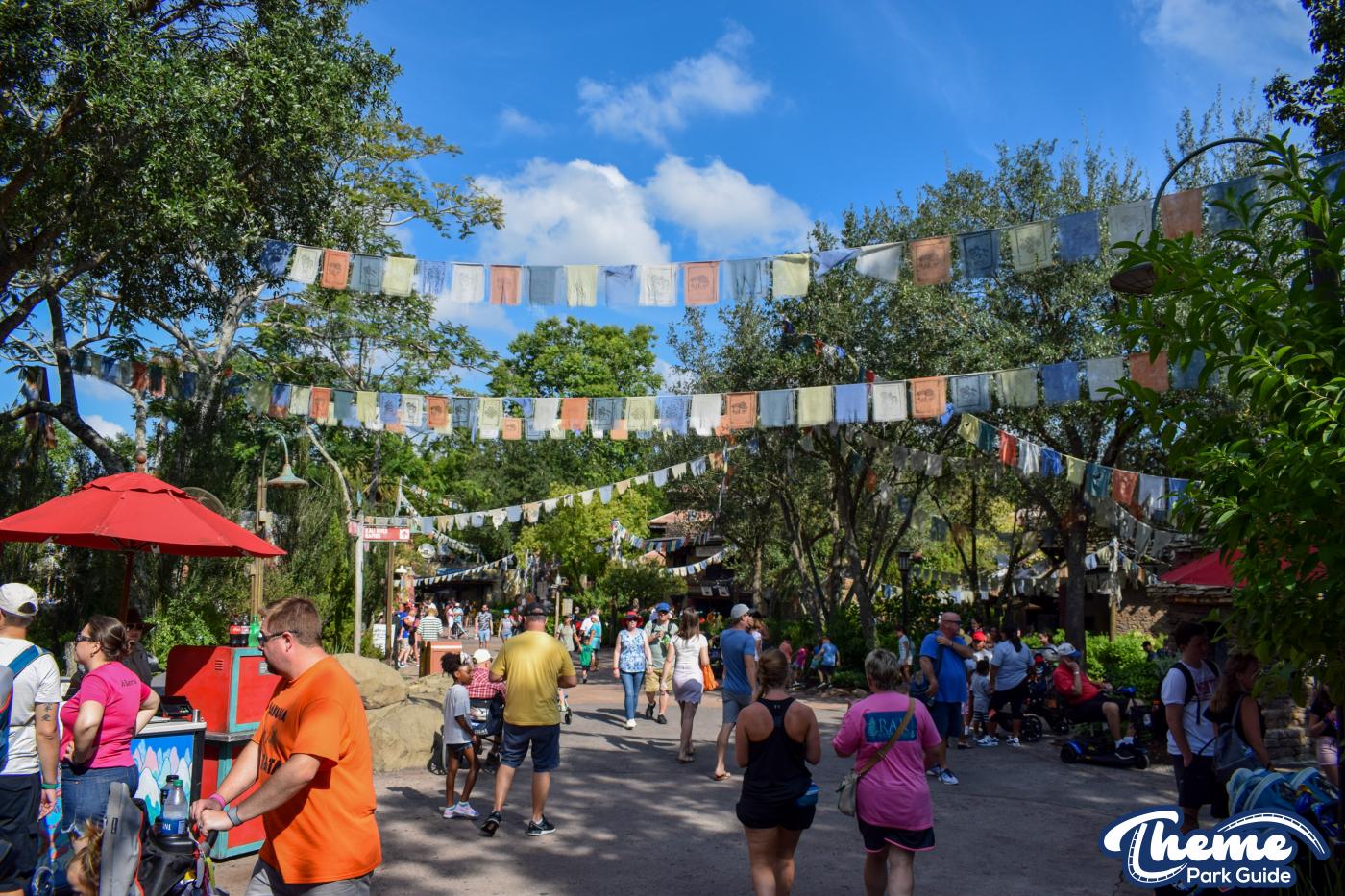 Expedition Everest -  Animal Kingdom