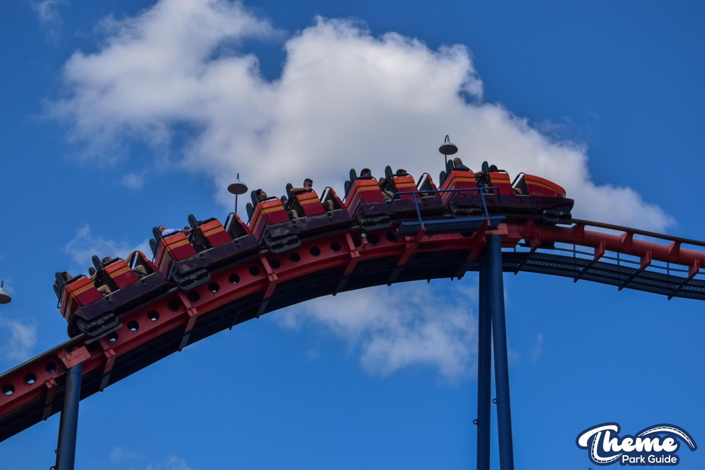 Scorpion -