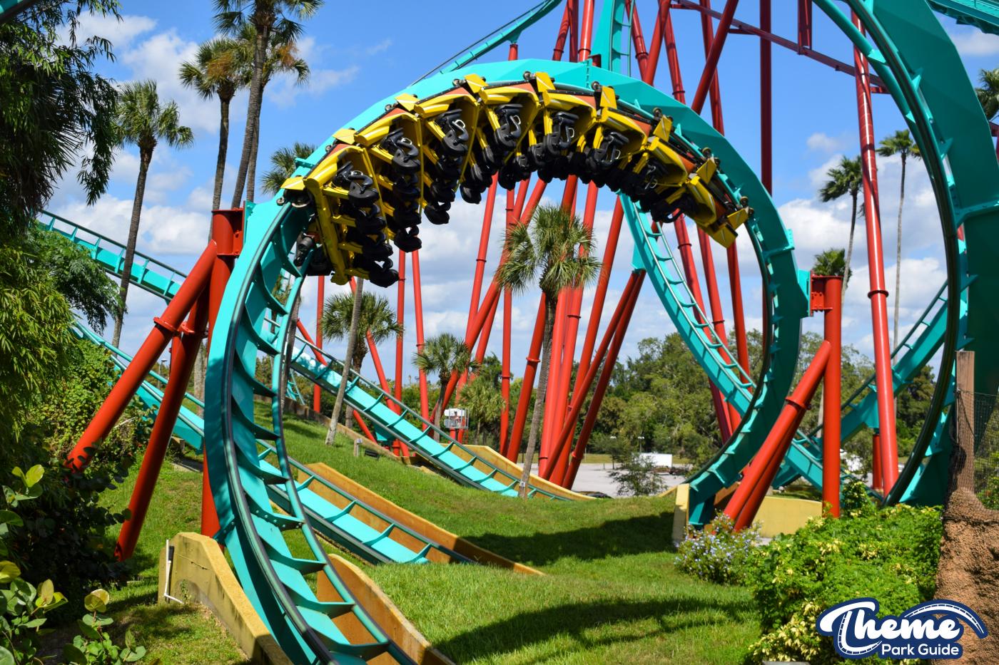 Kumba -  Busch Gardens Tampa