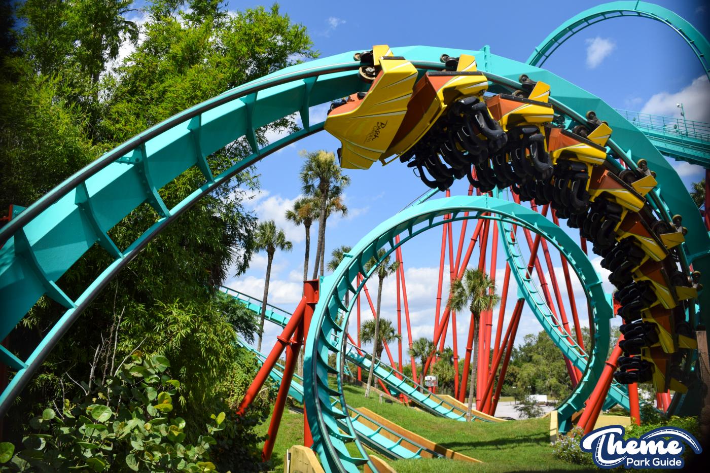 Kumba -  Busch Gardens Tampa