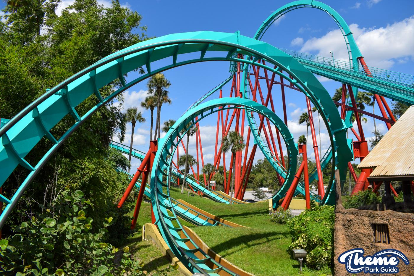 Kumba -  Busch Gardens Tampa