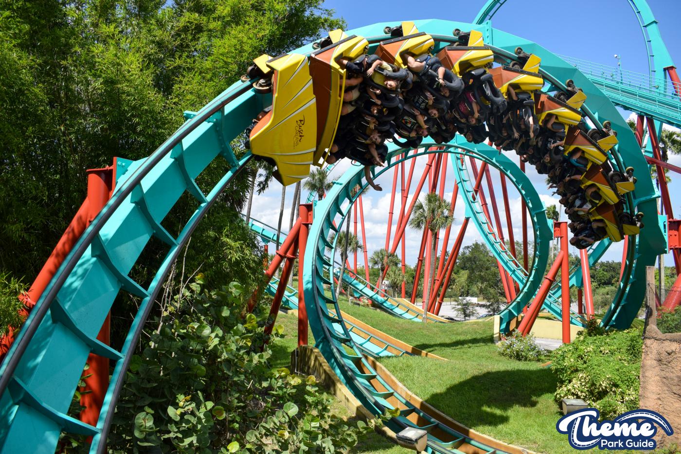 Kumba -  Busch Gardens Tampa