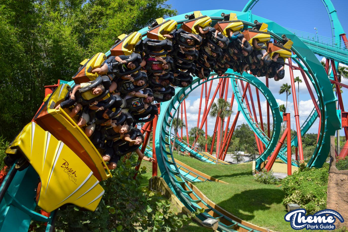 Kumba -  Busch Gardens Tampa