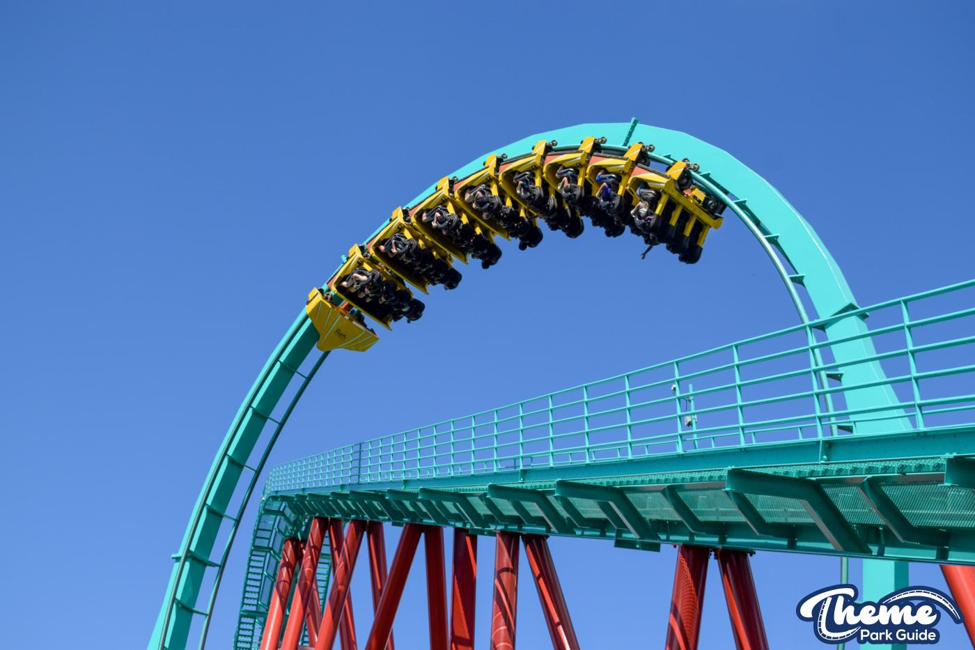 Kumba -  Busch Gardens Tampa