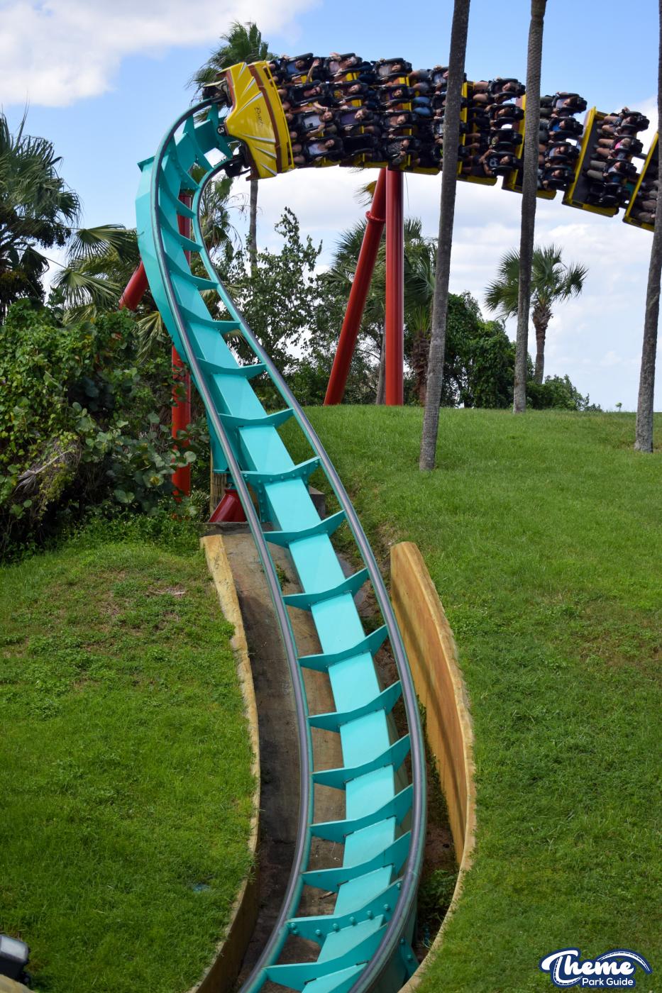 Kumba -  Busch Gardens Tampa