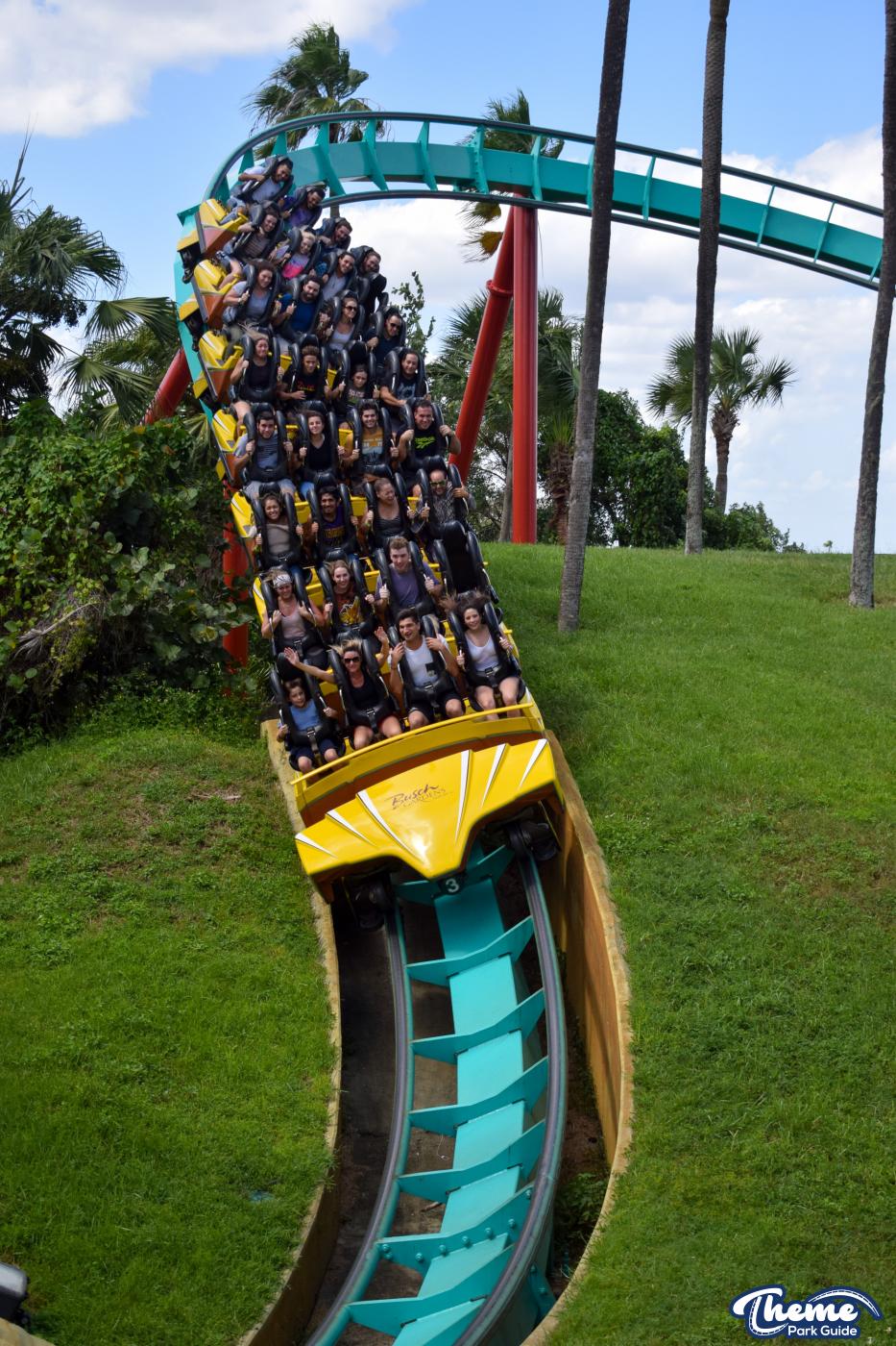 Kumba -  Busch Gardens Tampa