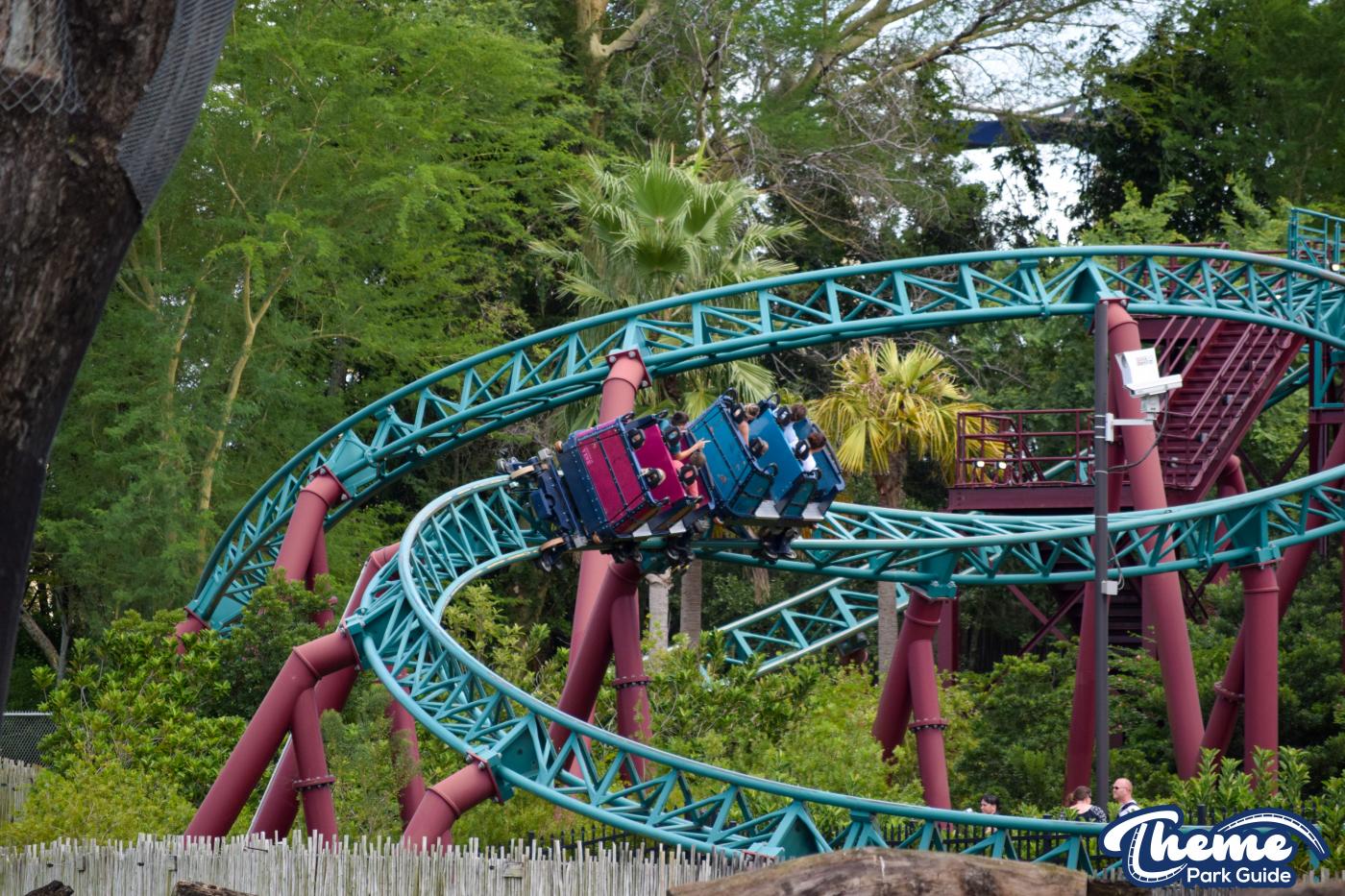Cobra's Curse -  Busch Gardens Tampa