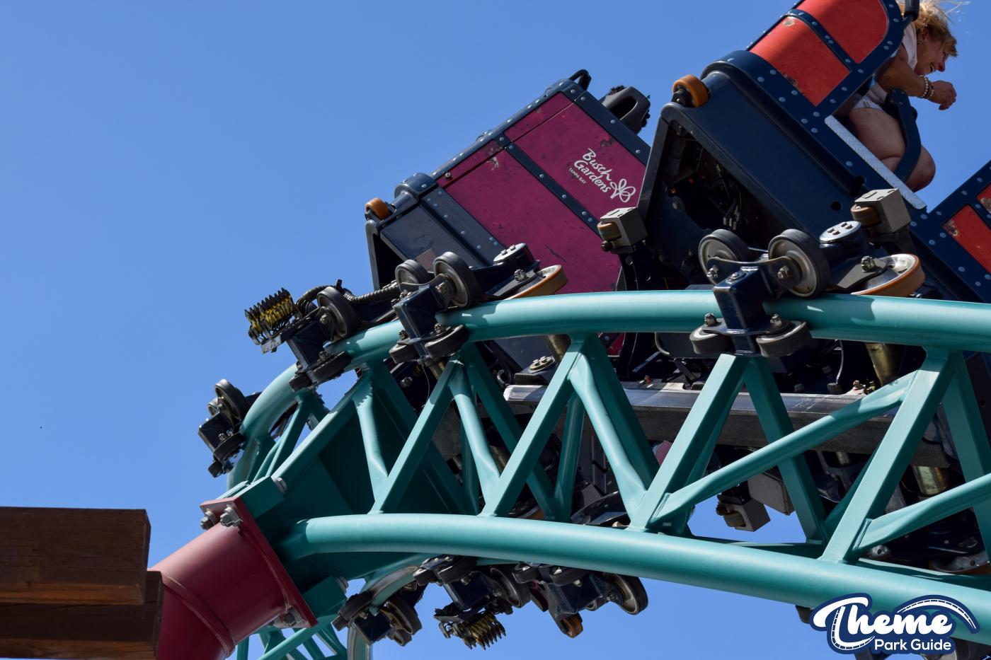Cobra's Curse -  Busch Gardens Tampa