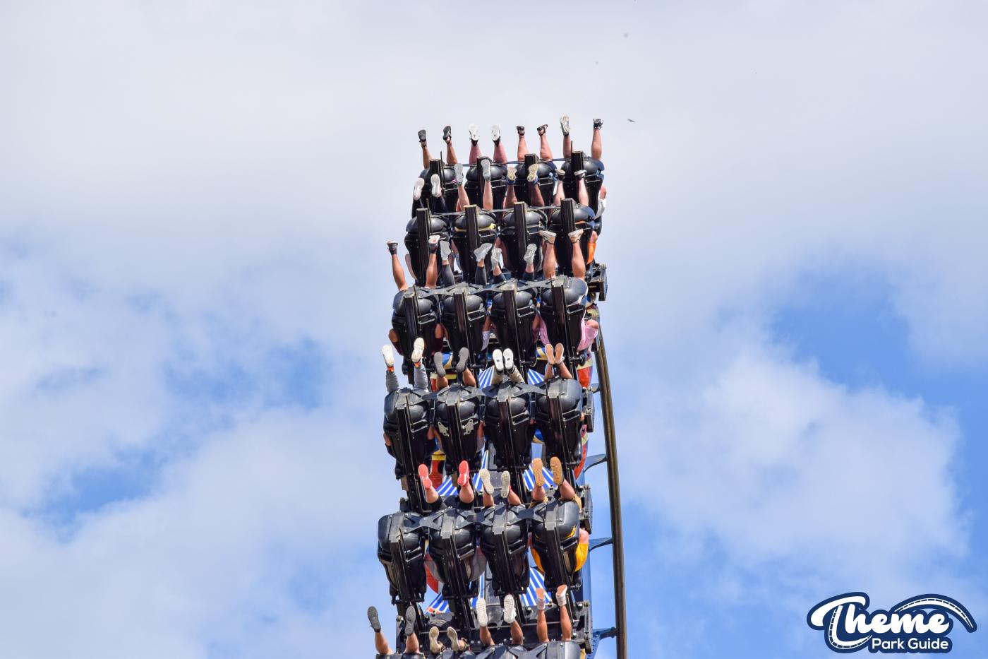 Montu -  Busch Gardens Tampa