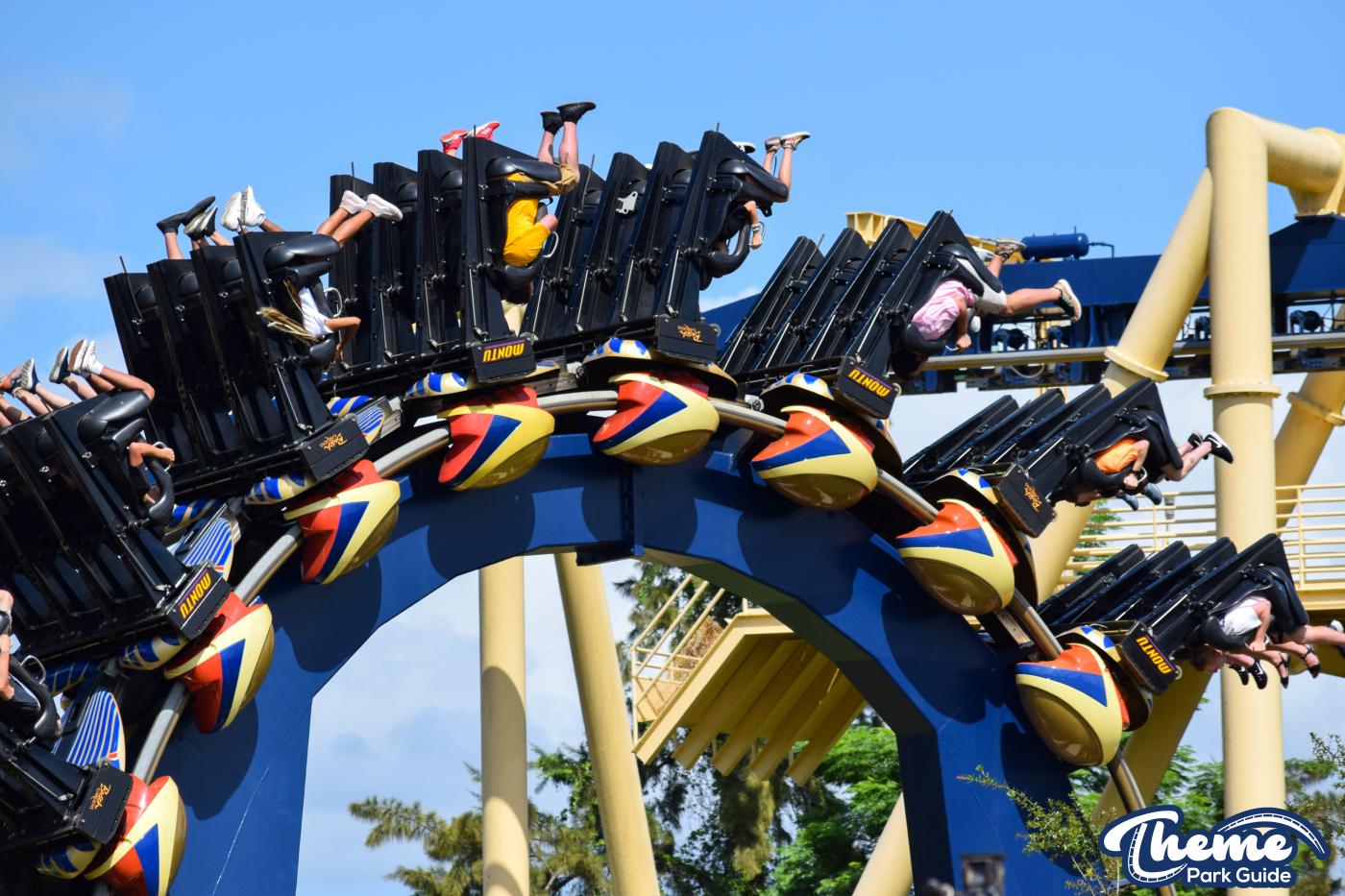 Montu -  Busch Gardens Tampa