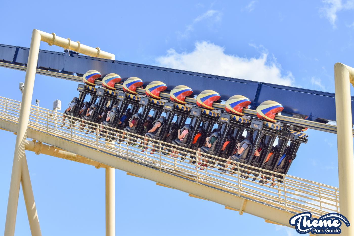 Montu -  Busch Gardens Tampa