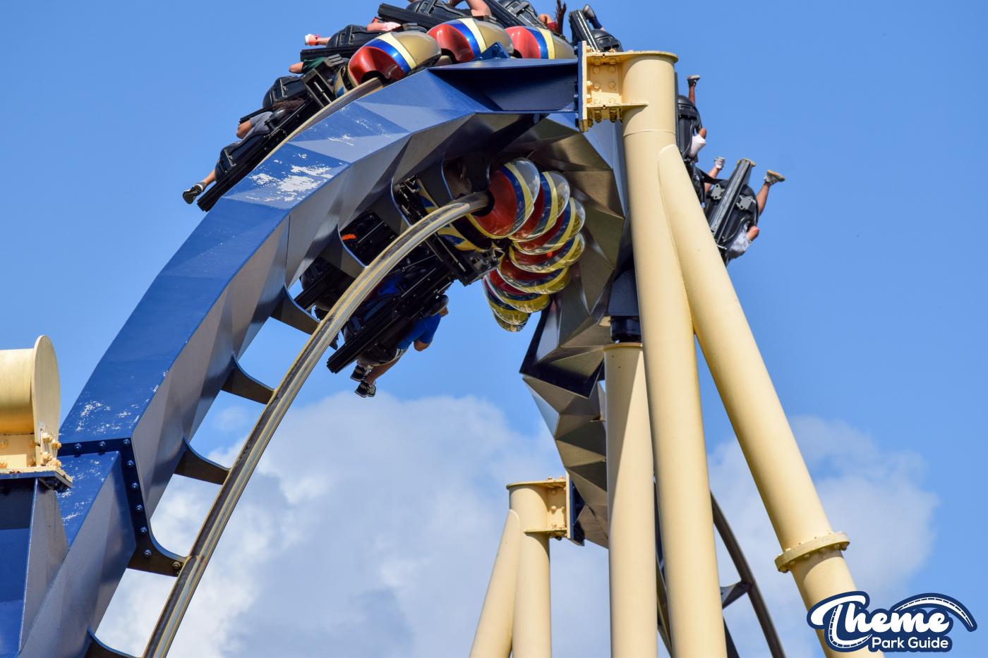 Montu -  Busch Gardens Tampa