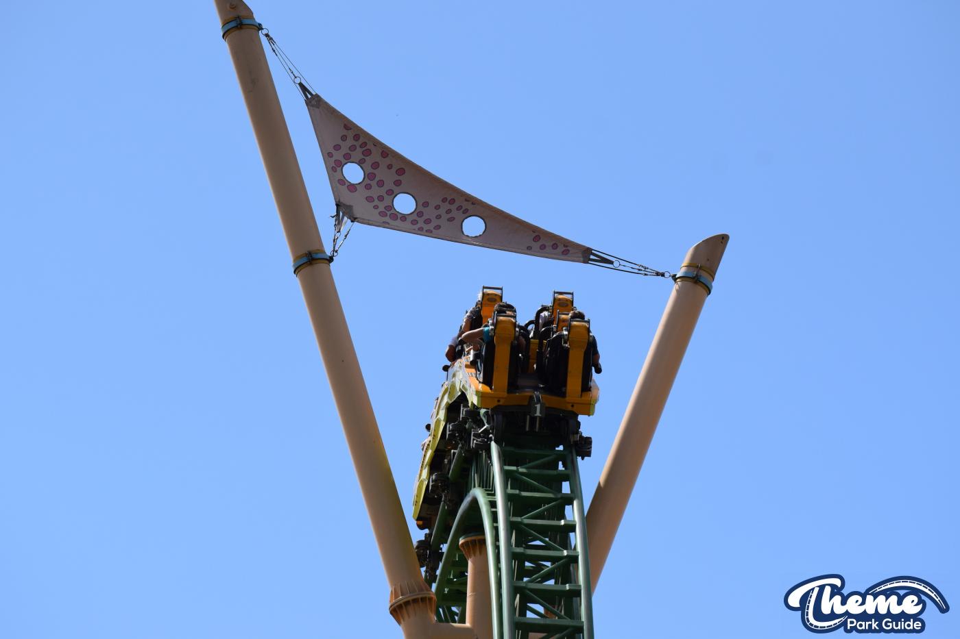 <p>Busch Gardens Tampa</p>