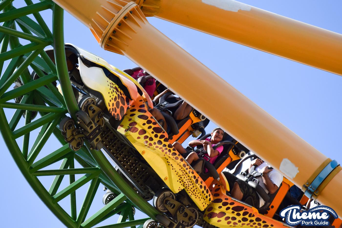 <p>Busch Gardens Tampa</p>