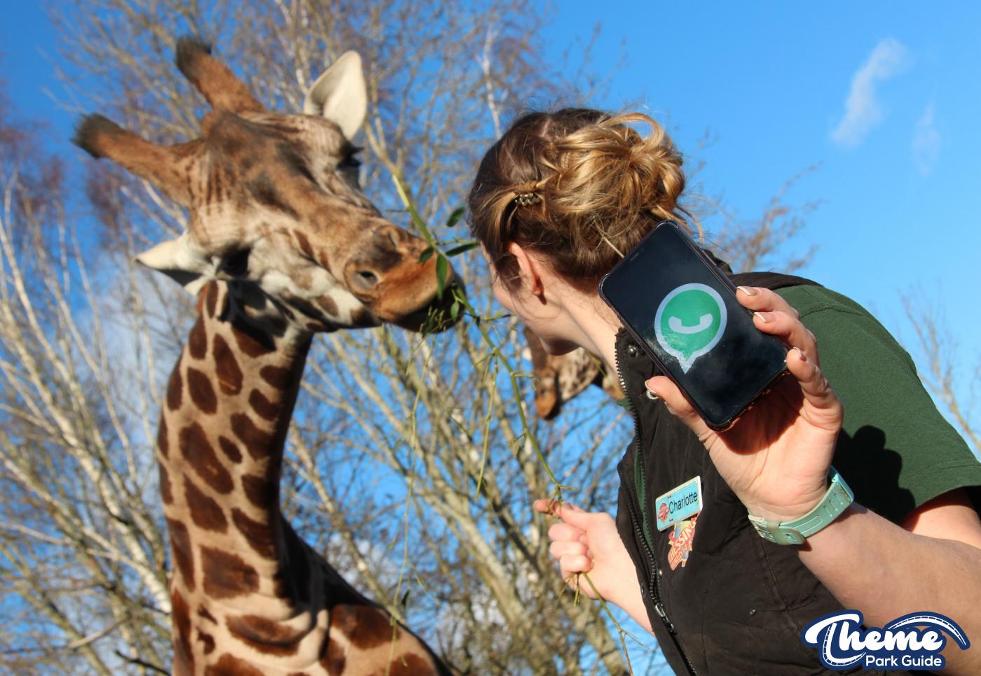 Chessington Launches Wild WhatsApp