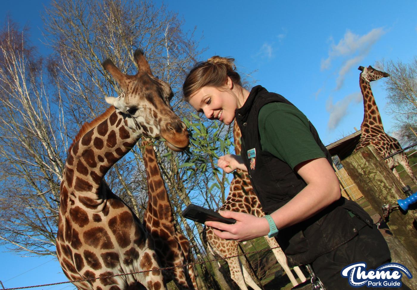 Chessington Launches Wild WhatsApp